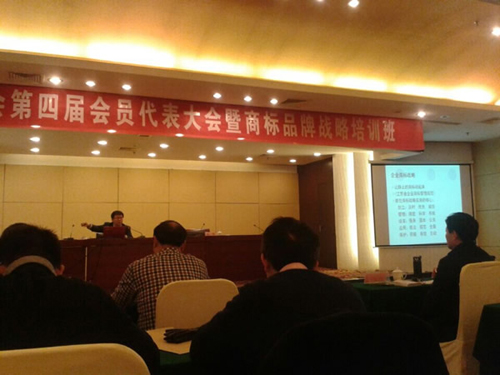 星光积极参加泰州市商标协会第四届会员代表大会1